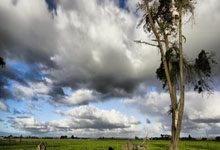 PG模拟器官网：热刺知名球迷：澳波被球迷高喊质疑+没有谢场，30场联赛输掉16场.