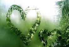 PG模拟器官网：欧国联B级组：英格兰轻取爱尔兰.