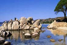 PG模拟器官网：CBA：浙江队123-118逆转北控队 豪取对对手的12连胜.